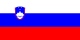 Slowenien Flagge
